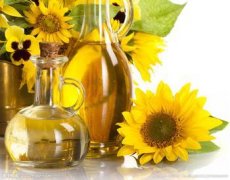 葵花籽油走俏市場,食用油灌裝機(jī)擔(dān)任新使者