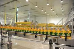 食用油灌裝機(jī)吸取玉米油之精髓