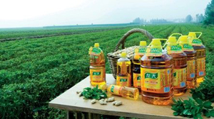 食用油灌裝機(jī)