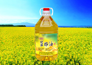 桶裝菜油灌裝機